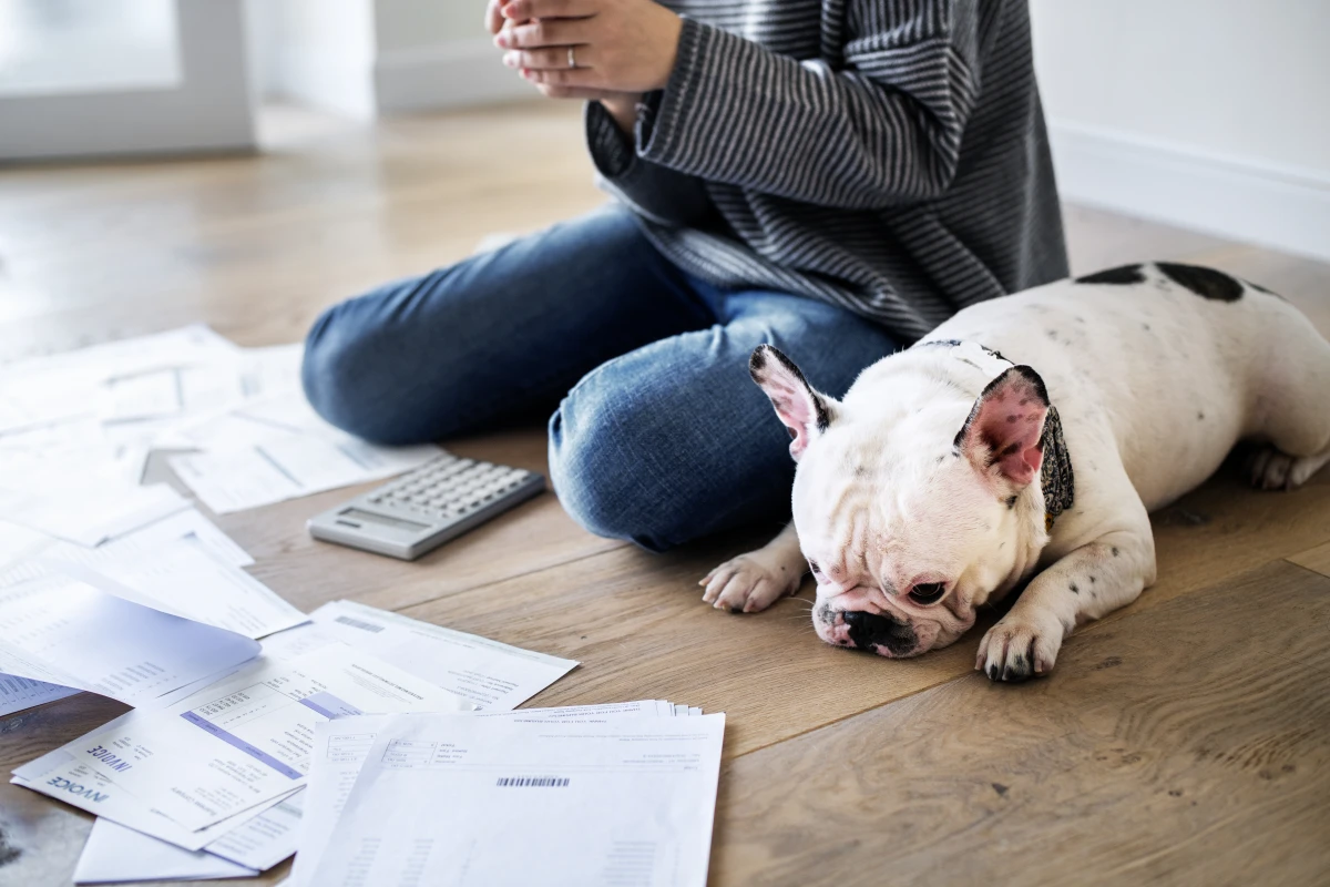 Surendettement des particuliers : comment s'en sortir et éviter les pièges